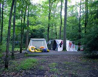 elkmont campground