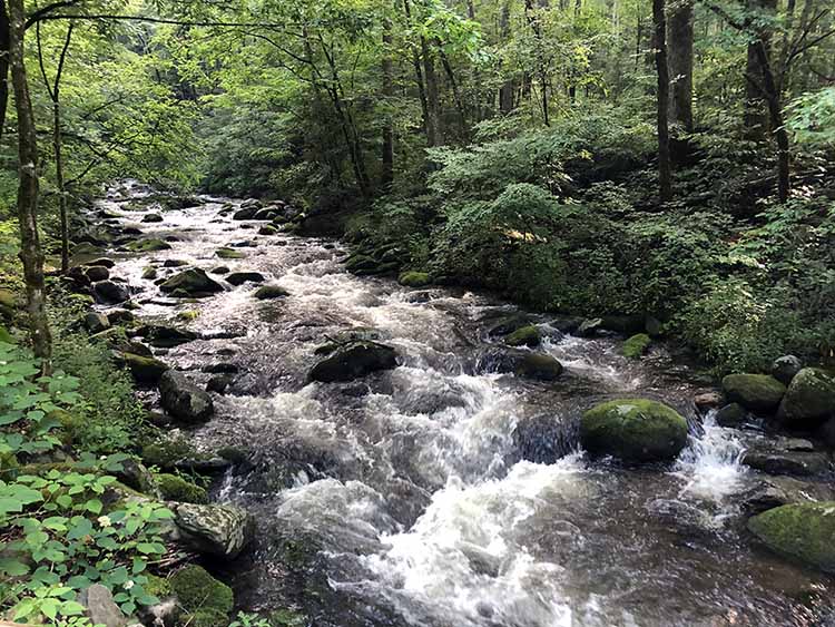 roaring fork motor nature trail