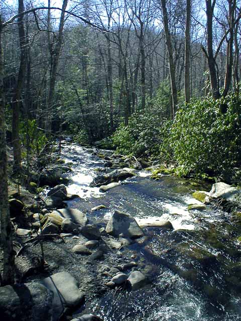 river